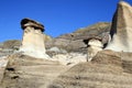 Hoodoos in DrumhellerValley