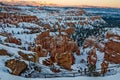 Hoodoos and Fir Trees Covered with Snow in Utah