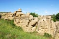 Hoodoos and sandstone field Royalty Free Stock Photo