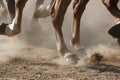 Hoof Dust Royalty Free Stock Photo