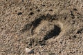 Hoof Print Royalty Free Stock Photo