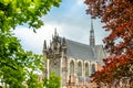 Hooglandse Kerk, old protestant gothic style cathedral, partly hidden in the foliage, Leiden, The Netherlands Royalty Free Stock Photo