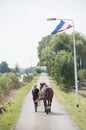 Hoogmade,The Netherlands,08-03-2022.Farmers protesting. The Dutch flag hanging upside down