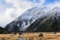 Track in Aoraki/Mount Cook National Park, New Zealand Royalty Free Stock Photo