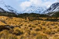 Track in Aoraki/Mount Cook National Park, New Zealand Royalty Free Stock Photo