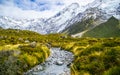 Valley, Aoraki/Mount Cook National Park, New Zealand Royalty Free Stock Photo