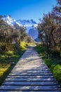 Valley Track, Aoraki Mount Cook, New Zealand Royalty Free Stock Photo