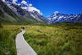 Valley Track, Mount Cook, New Zealand