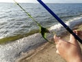 On the hooks and fishing line of the rod were attached to the algae. Green algae on a fishing rod. Dirty fishing rod. Royalty Free Stock Photo