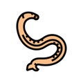 hookworm parasite color icon vector illustration Royalty Free Stock Photo