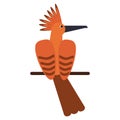 Hoopoe bird exotic icon