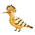 Hoopoe bird icon.