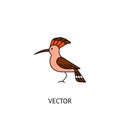 Hoopoe bird icon