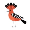 Hoopoe cartoon bird icon