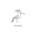 Hoopoe outline icon