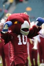 Hooter - the Temple University Owls mascot Royalty Free Stock Photo