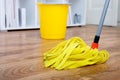 Hoovering a parquet floor Royalty Free Stock Photo