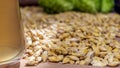 Hop, barley seeds and glass of beer, close up Royalty Free Stock Photo