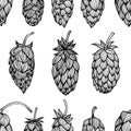 Hop beer seamless pattern Royalty Free Stock Photo