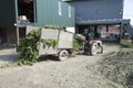 Hop bines arrive for processing from the hop garden