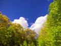 Hop brook dam beautiful view Royalty Free Stock Photo