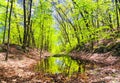 Hop brook dam state park in Naugatuck Royalty Free Stock Photo