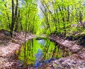 Hop brook dam state park in Naugatuck Royalty Free Stock Photo