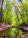 Hop brook dam state park in Naugatuck Royalty Free Stock Photo