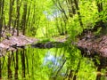 Hop brook dam state park in Naugatuck