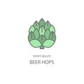 Hop cones craft beer