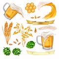 Hop, ears of wheat, barley, cereals wheat, Beer in glass with splashing, honeycomb, beer wave. Vector icons for your Royalty Free Stock Photo