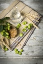 Hop flowers, wheat ears and seeds, water. ingredients for brewing beer on wooden table Royalty Free Stock Photo