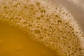 Hop foam looks delicious, and the more beer bubbles, the better the quality of beer. This is a close-up of beer foam.