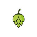 Hop icon beer cone leaf sign,pub herb design, nature seed Royalty Free Stock Photo