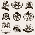 Hop labels and elements set. Collection icon hops. Vector Royalty Free Stock Photo