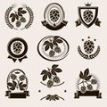 Hop labels and elements set. Collection icon hops. Vector Royalty Free Stock Photo