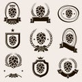 Hop labels and elements set. Collection icon hops. Vector Royalty Free Stock Photo