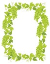 Hop plant frame banner. Hop green leaves and cones. Place for text. Border frame isolated background template. Lupulus humulus.