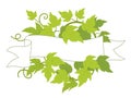 Hop plant frame flag label. Badge border frame decor. Copy space for text name or logo. Hop green leaves. Vector flat Illustration Royalty Free Stock Photo