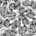 Hop seamless pattern.Black hand drawn artistic beer hop