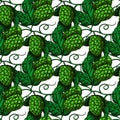 Hop seamless pattern. Hand drawn artistic beer green hope