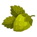 Hop seeds icon, natural organic autumn decoration