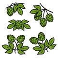 Hop set. Collection icon hops. Vector Royalty Free Stock Photo