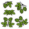 Hop set. Collection icon hops. Vector