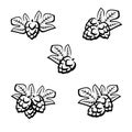 Hop set. Collection icon hops. Vector Royalty Free Stock Photo