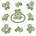 Hop set. Collection icon hops. Vector Royalty Free Stock Photo