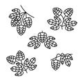 Hop set. Collection icon hops. Vector Royalty Free Stock Photo