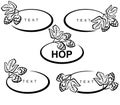Hop set. Collection hop leaves frame. Vector Royalty Free Stock Photo