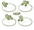 Hop set. Collection hop leaves frame. Vector Royalty Free Stock Photo
