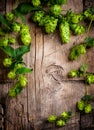 Hop twig over old wooden cracked table background. Beer production ingredient. Brewery concept